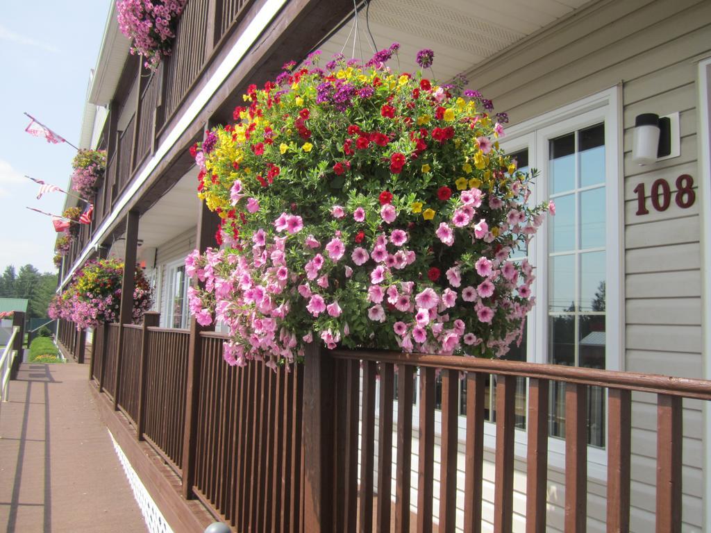 Bishops Country Inn Motel Jackman Esterno foto